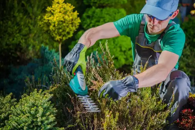 landscaping services Upper Sandusky